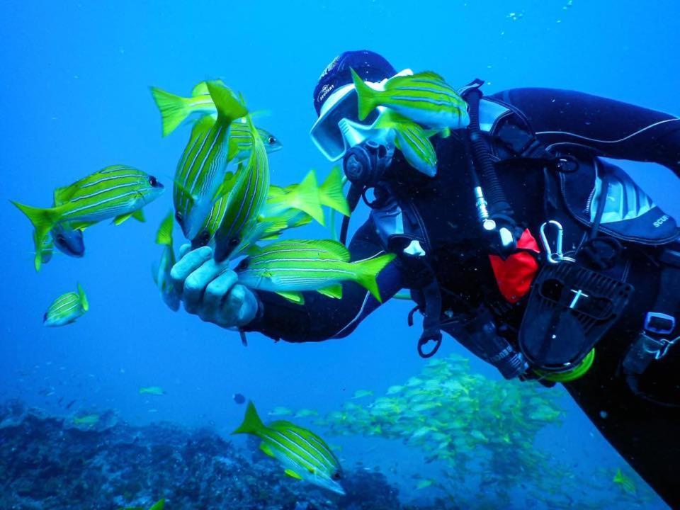 Salary Bay Otel Tsifota Dış mekan fotoğraf